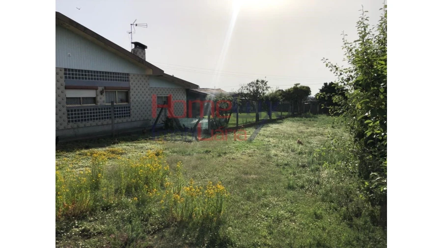 Moradia T3 para Venda em Branca Foto 4