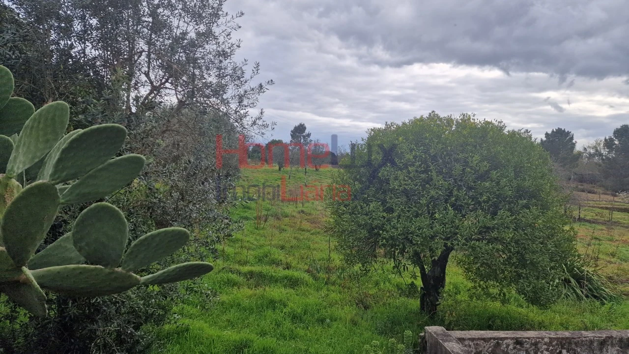Terreno Agricola ou Rústico para Venda em Santiago de Besteiros Foto 1