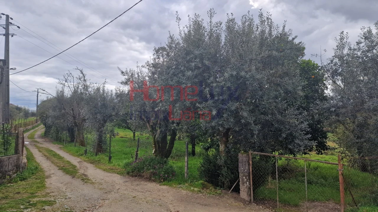 Terreno Agricola ou Rústico para Venda em Santiago de Besteiros Foto 2
