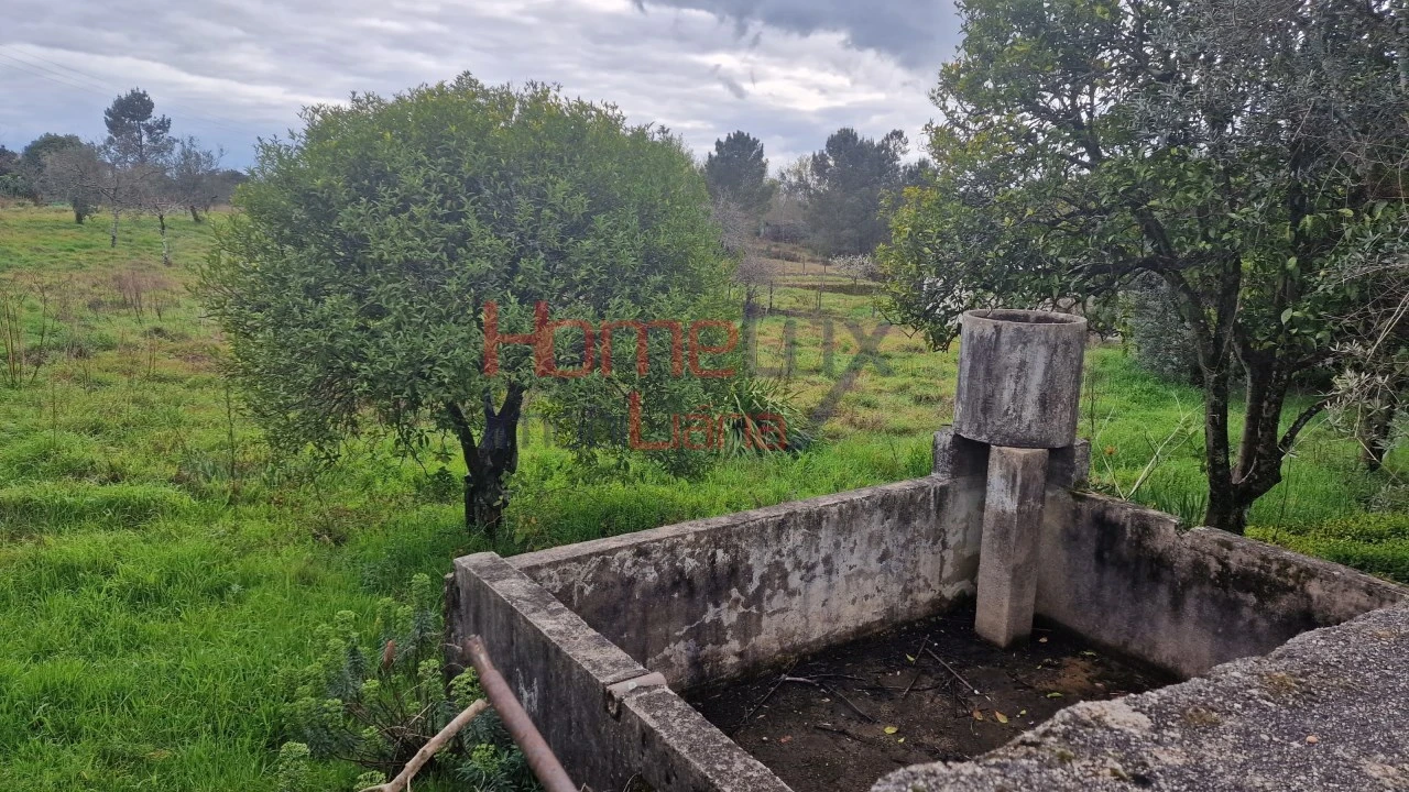 Terreno Agricola ou Rústico para Venda em Santiago de Besteiros Foto 4