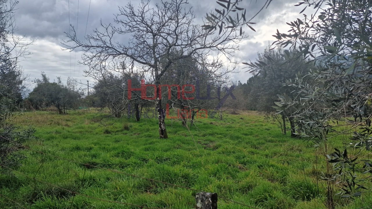 Terreno Agricola ou Rústico para Venda em Santiago de Besteiros Foto 9