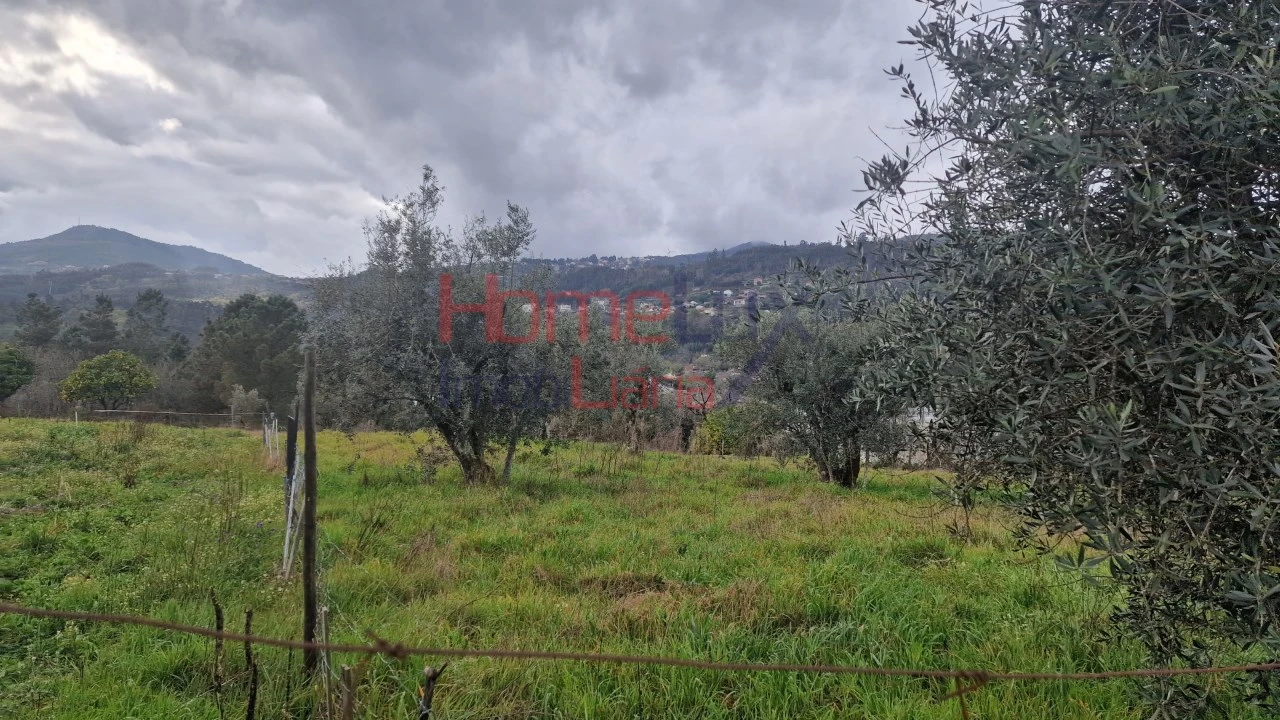 Terreno Agricola ou Rústico para Venda em Santiago de Besteiros Foto 10