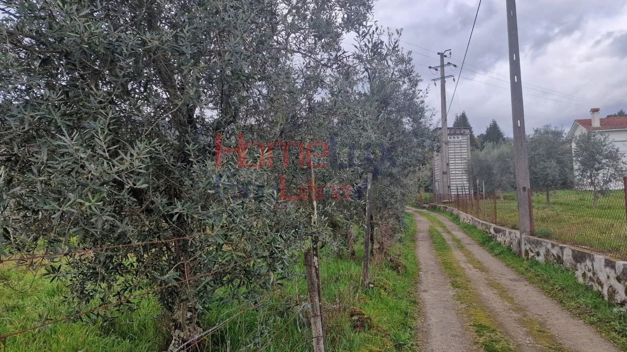 Terreno Agricola ou Rústico para Venda em Santiago de Besteiros Foto 11