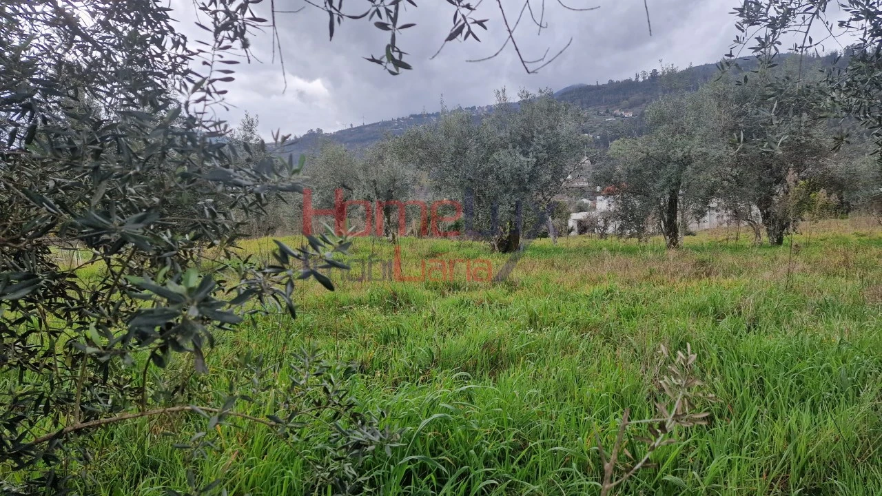 Terreno Agricola ou Rústico para Venda em Santiago de Besteiros Foto 12
