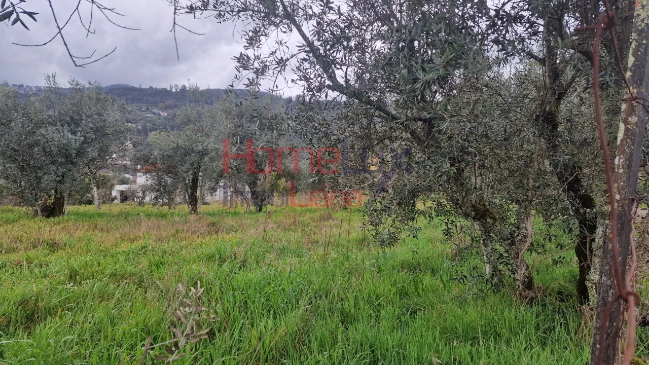 Terreno Agricola ou Rústico para Venda em Santiago de Besteiros Foto 13
