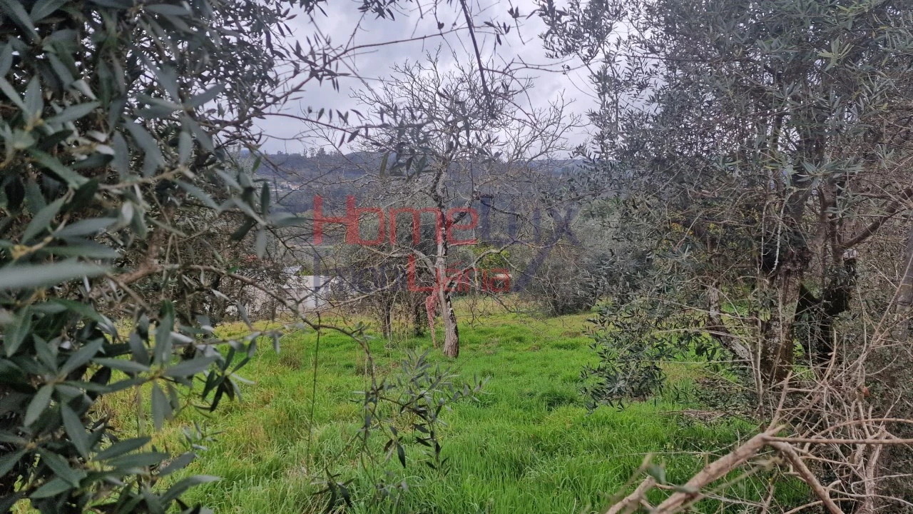 Terreno Agricola ou Rústico para Venda em Santiago de Besteiros Foto 14