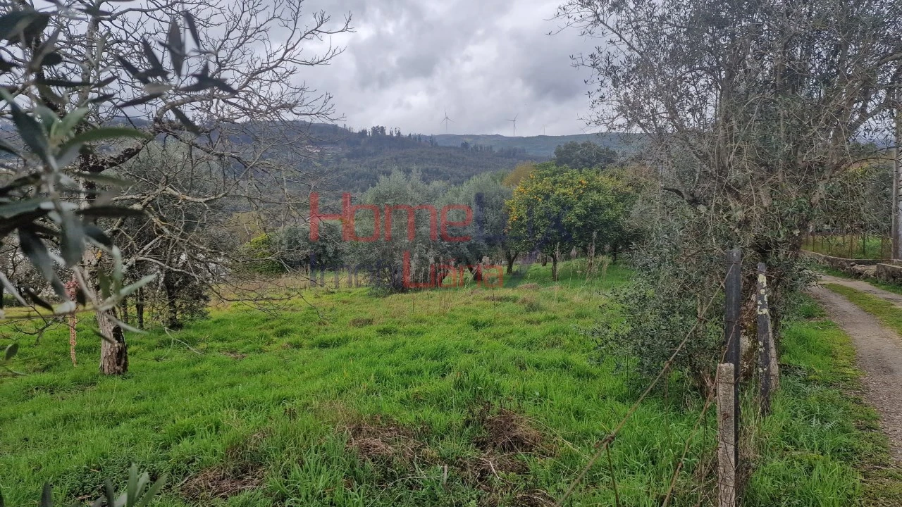 Terreno Agricola ou Rústico para Venda em Santiago de Besteiros Foto 15