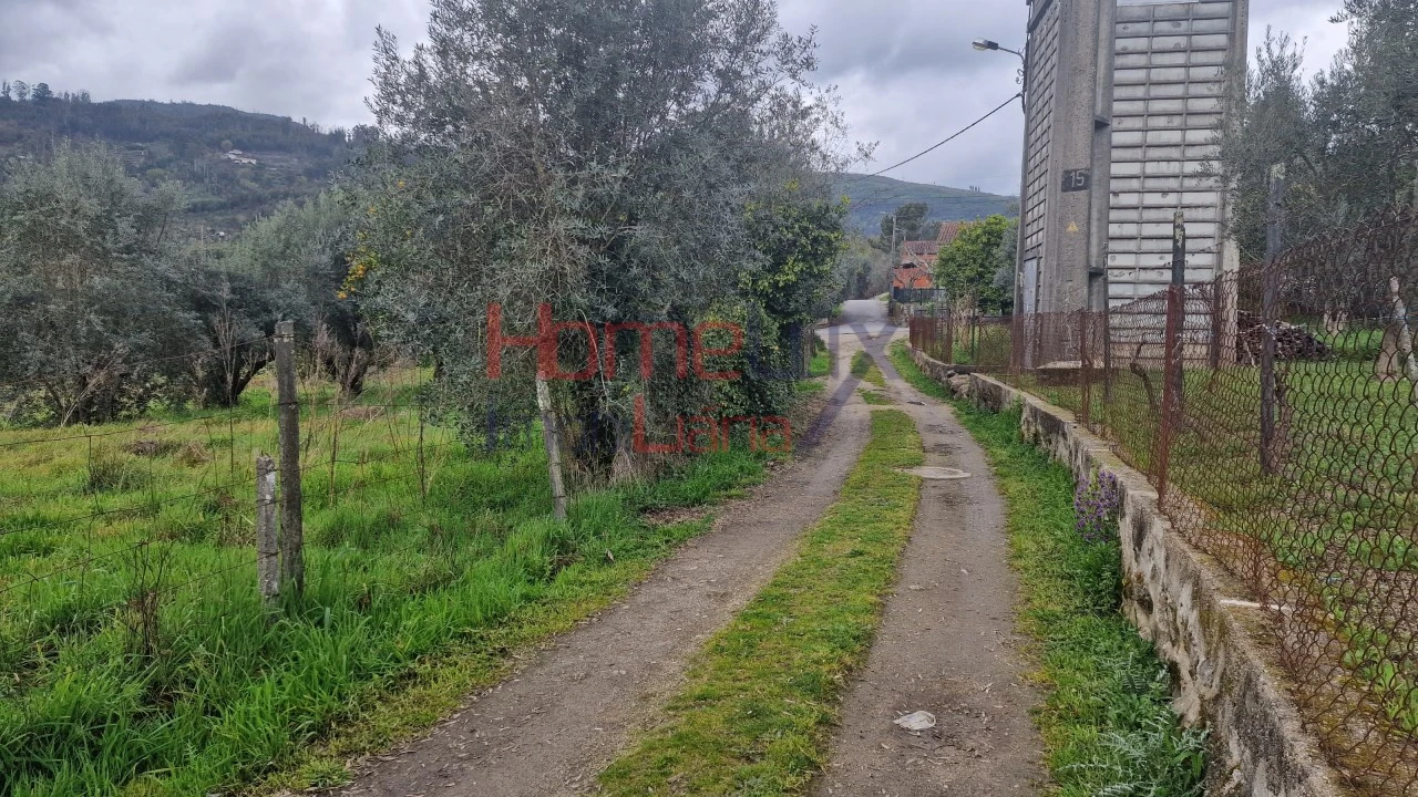 Terreno Agricola ou Rústico para Venda em Santiago de Besteiros Foto 16