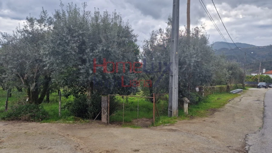 Terreno Agricola ou Rústico para Venda em Santiago de Besteiros Foto 3