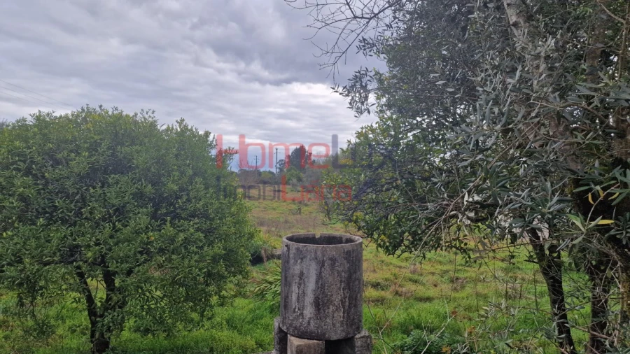 Terreno Agricola ou Rústico para Venda em Santiago de Besteiros Foto 6
