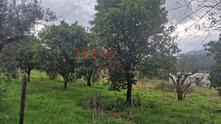 Terreno Agricola ou Rústico para Venda em Santiago de Besteiros Foto 7