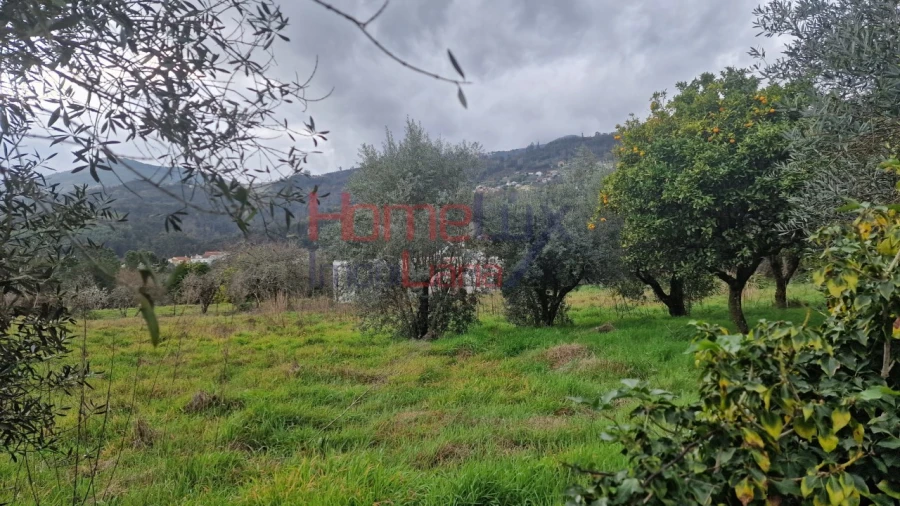 Terreno Agricola ou Rústico para Venda em Santiago de Besteiros Foto 8
