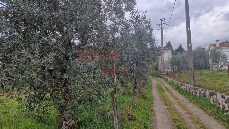 Terreno Agricola ou Rústico para Venda em Santiago de Besteiros Foto 11