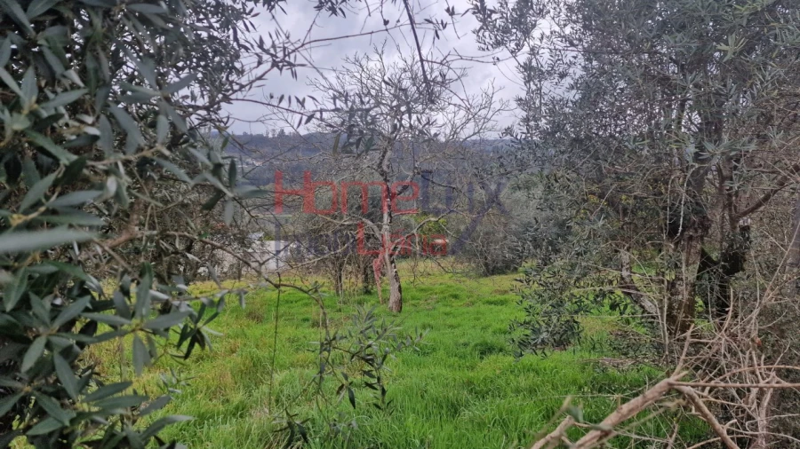Terreno Agricola ou Rústico para Venda em Santiago de Besteiros Foto 14