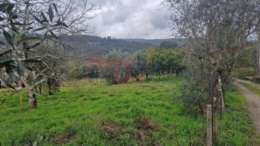 Terreno Agricola ou Rústico para Venda em Santiago de Besteiros Foto 15