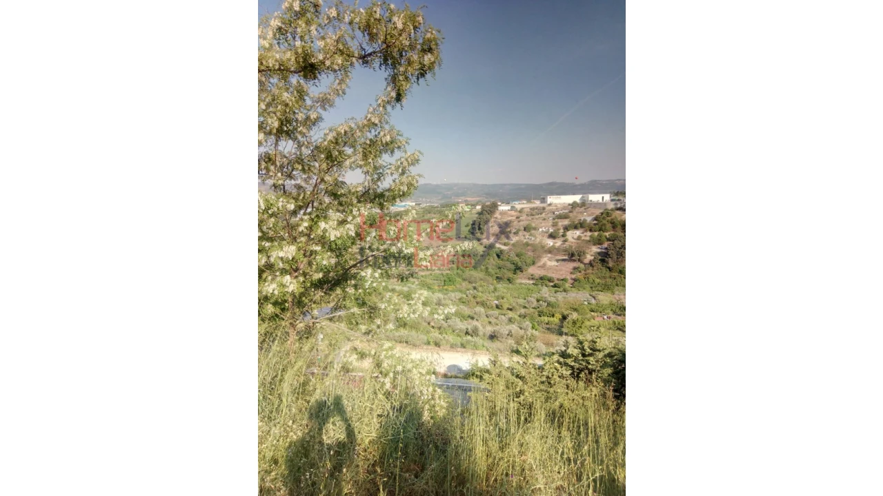 Terreno para Venda em Cepões, Meijinhos e Melcões Foto 14