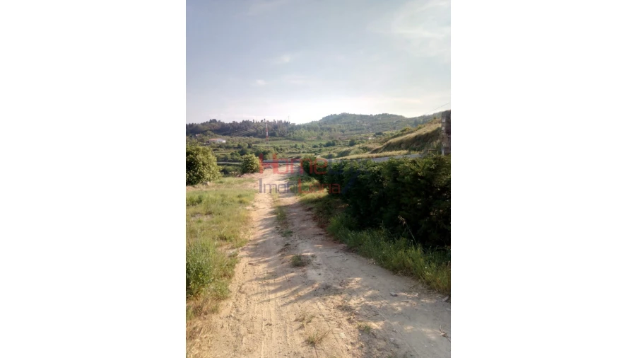 Terreno para Venda em Cepões, Meijinhos e Melcões Foto 10