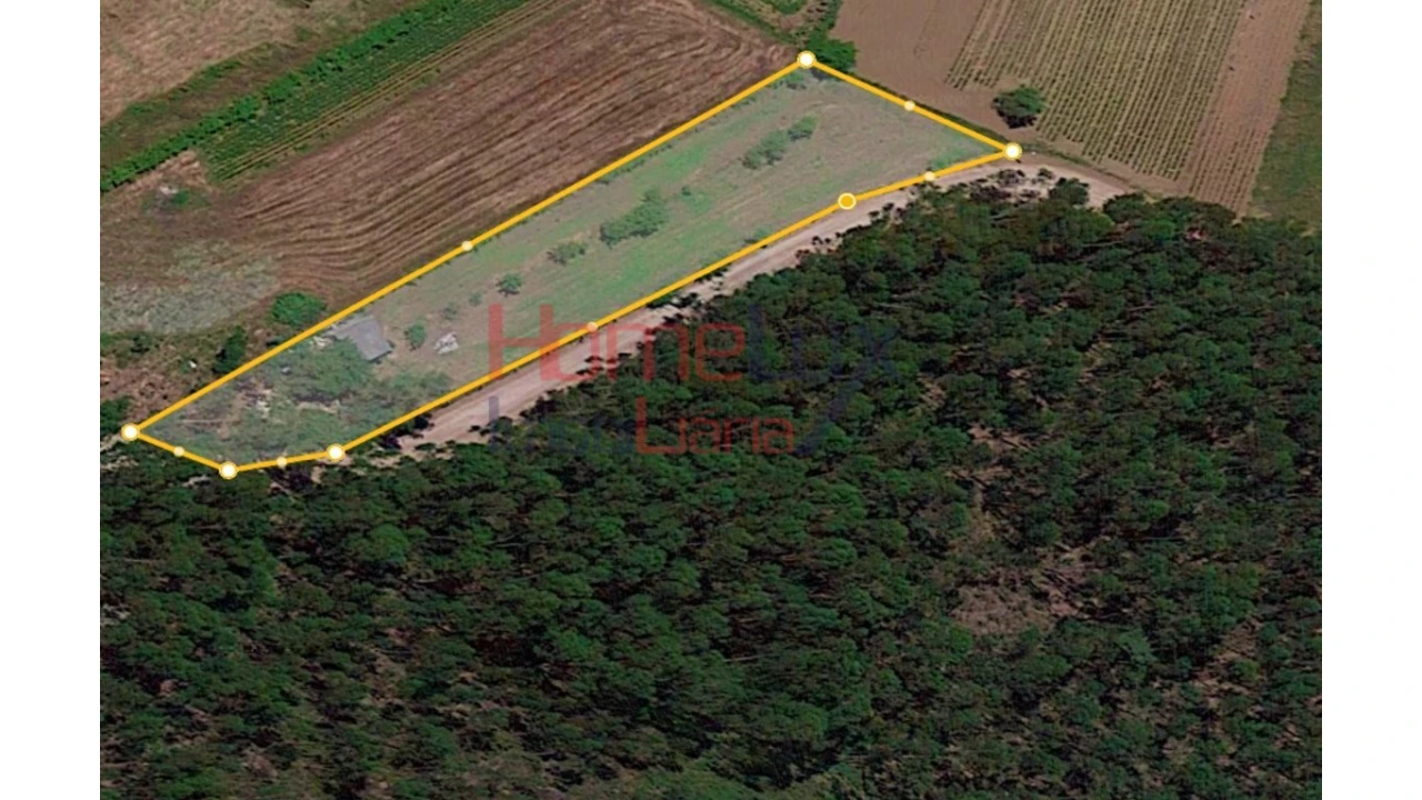 Terreno para Venda em Travassô e Óis da Ribeira Foto 4