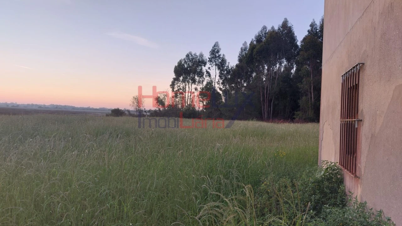 Quinta T2 para Venda em Valega Foto 1