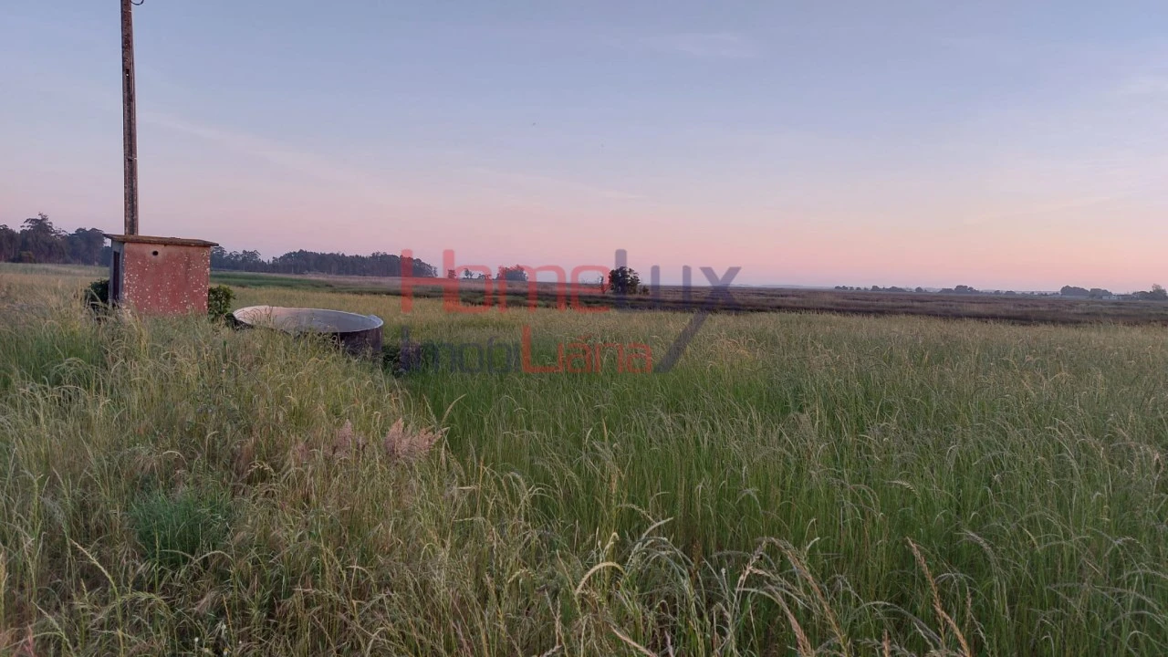 Quinta T2 para Venda em Valega Foto 2