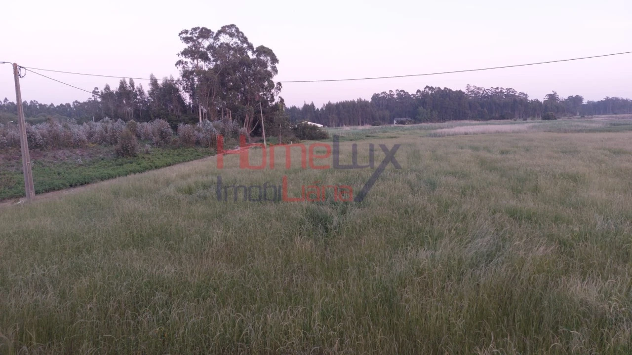 Quinta T2 para Venda em Valega Foto 15