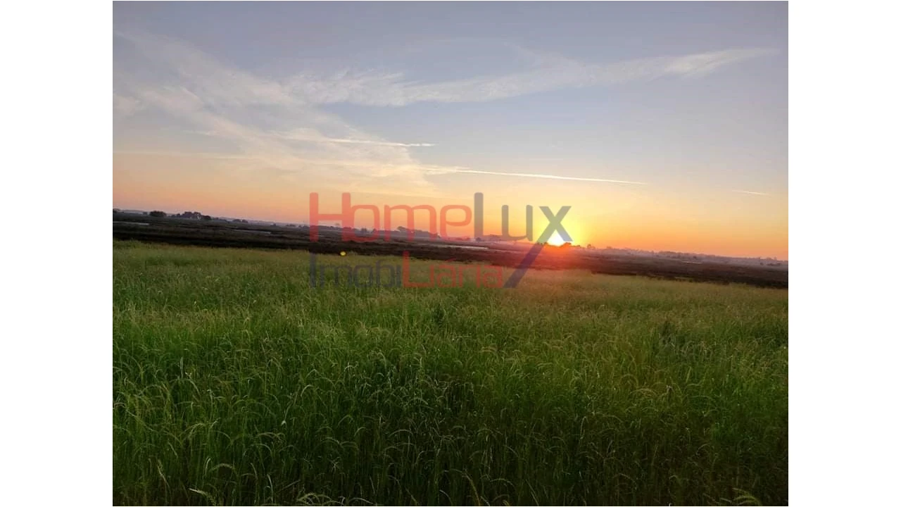 Quinta T2 para Venda em Valega Foto 17