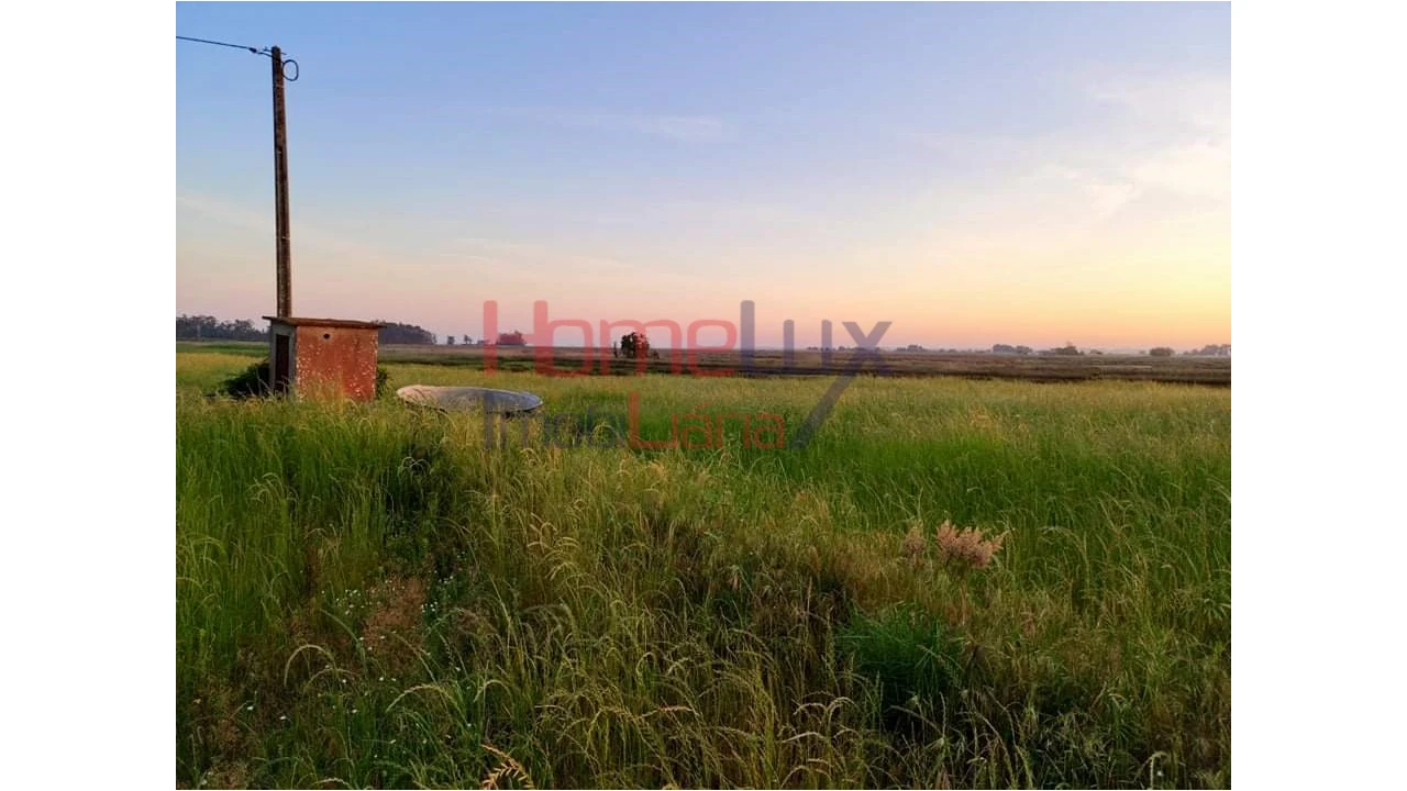 Quinta T2 para Venda em Valega Foto 18