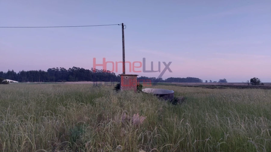 Quinta T2 para Venda em Valega Foto 13