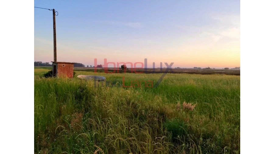 Quinta T2 para Venda em Valega Foto 18