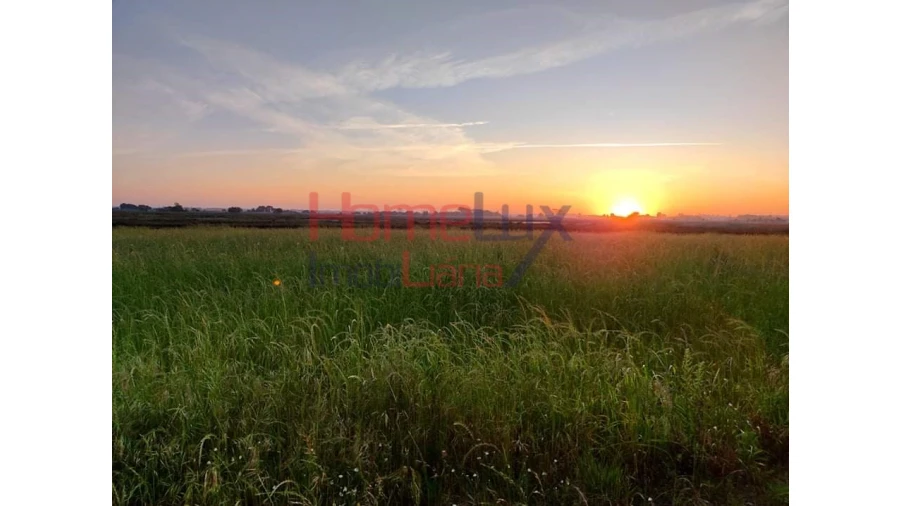 Quinta T2 para Venda em Valega Foto 19