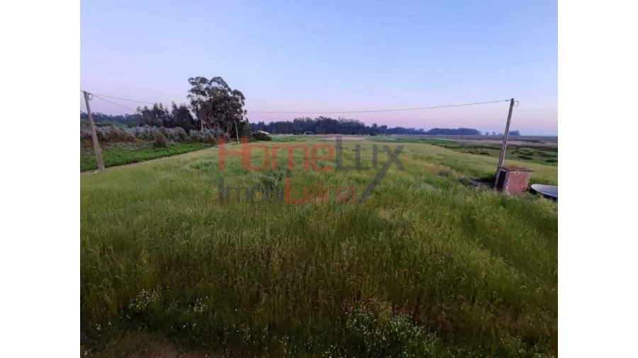 Quinta T2 para Venda em Valega Foto 21