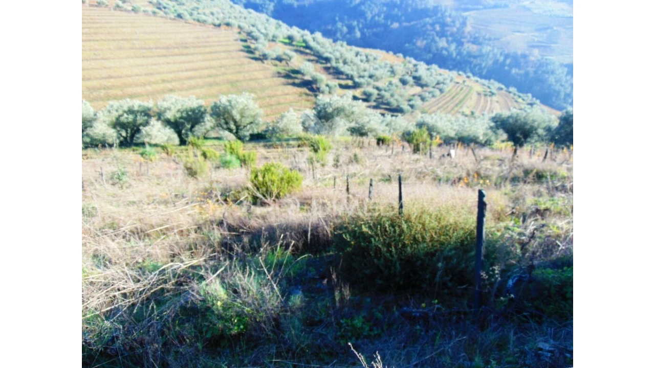 Terreno para Venda em Abaças Foto 6