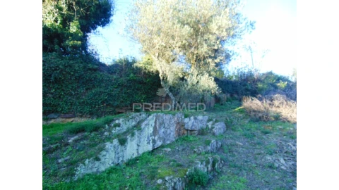 Terreno para Venda em Abaças