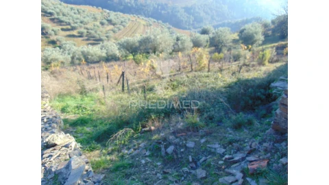 Terreno para Venda em Abaças