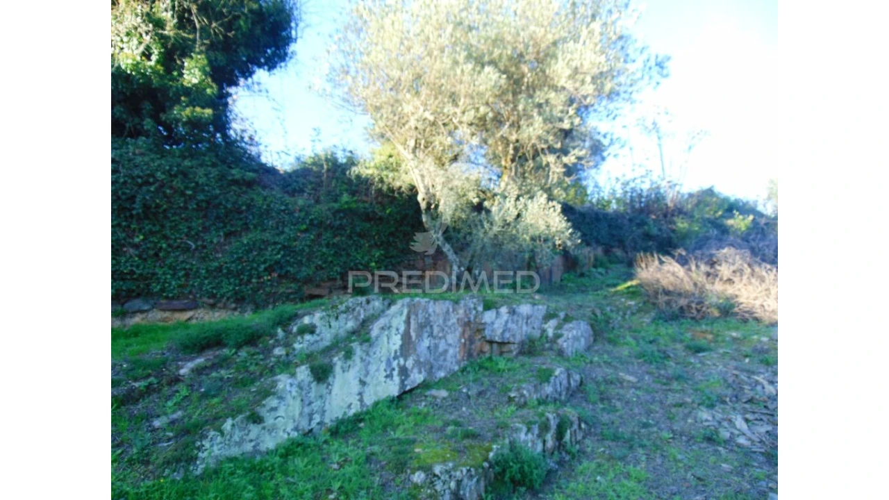 Terreno para Venda em Abaças Foto 12