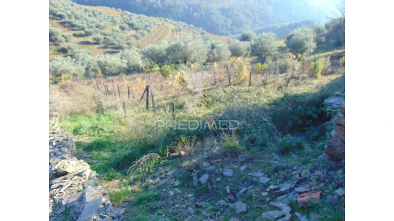 Terreno para Venda em Abaças Foto 18