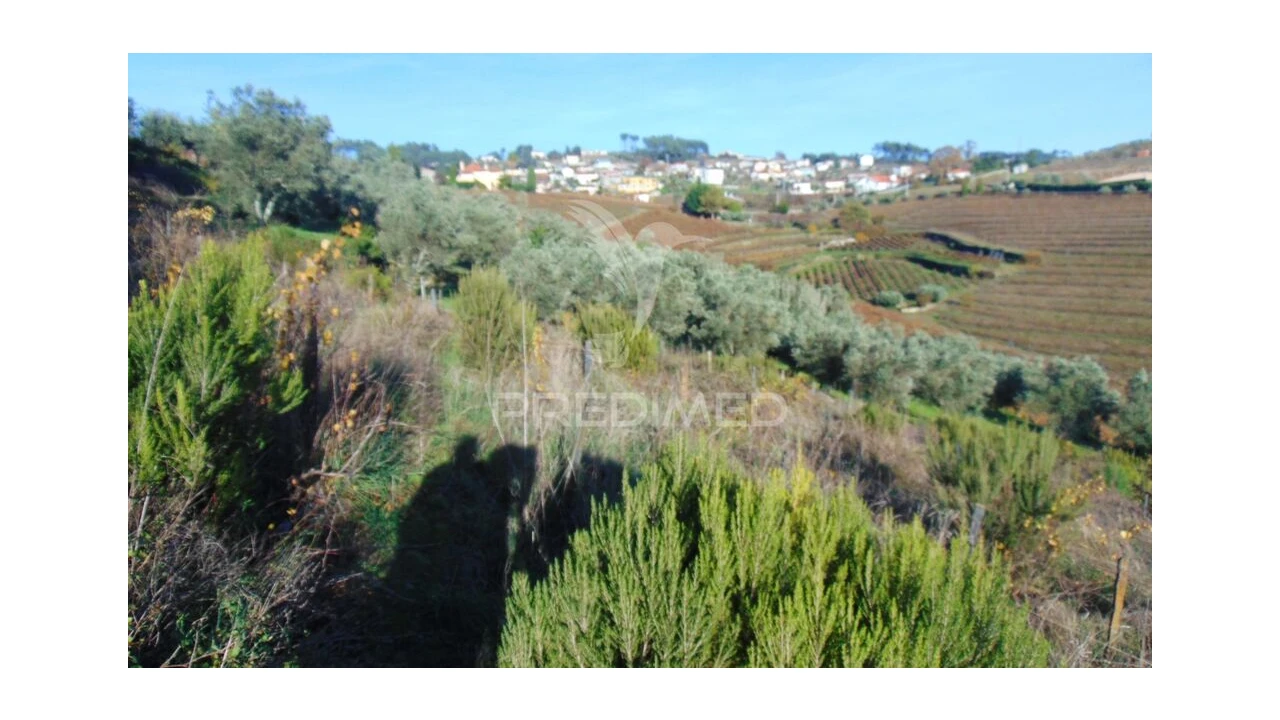 Terreno para Venda em Abaças Foto 7