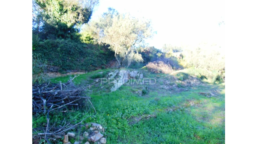 Terreno para Venda em Abaças Foto 11