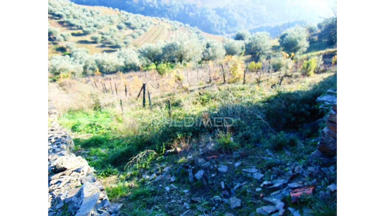 Terreno para Venda em Abaças Foto 3