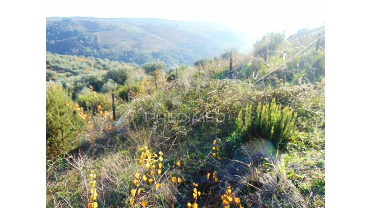 Terreno para Venda em Abaças Foto 8