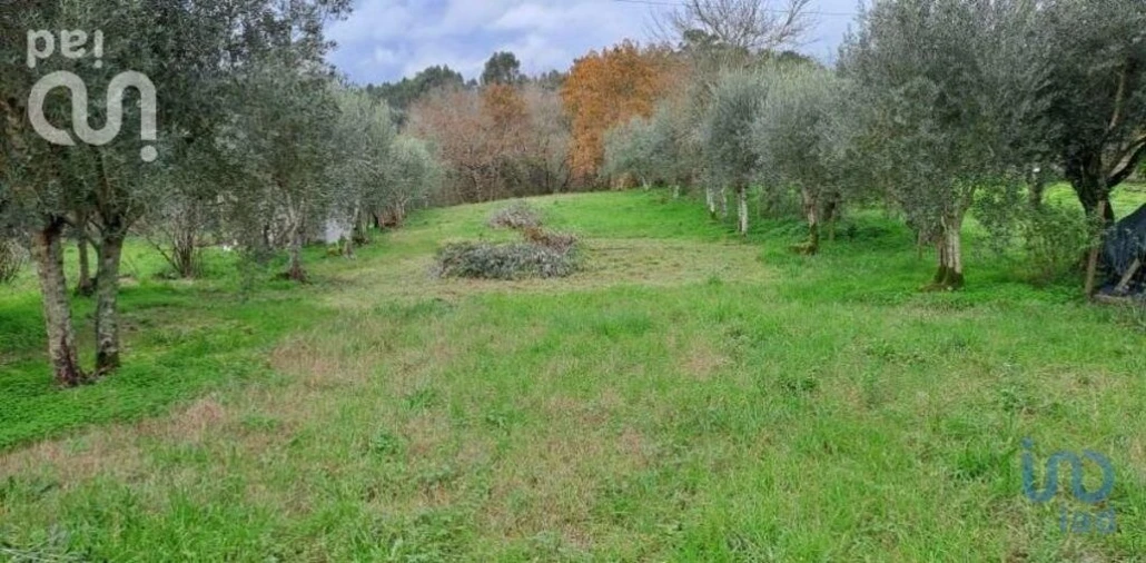Terreno para Venda em Lousã e Vilarinho Foto 3