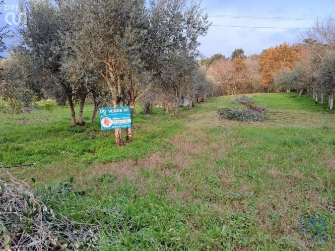 Terreno para Venda em Lousã e Vilarinho Foto 2