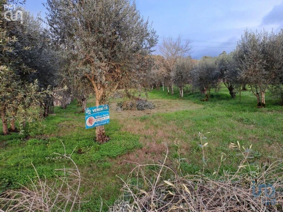 Terreno para Venda em Lousã e Vilarinho Foto 1