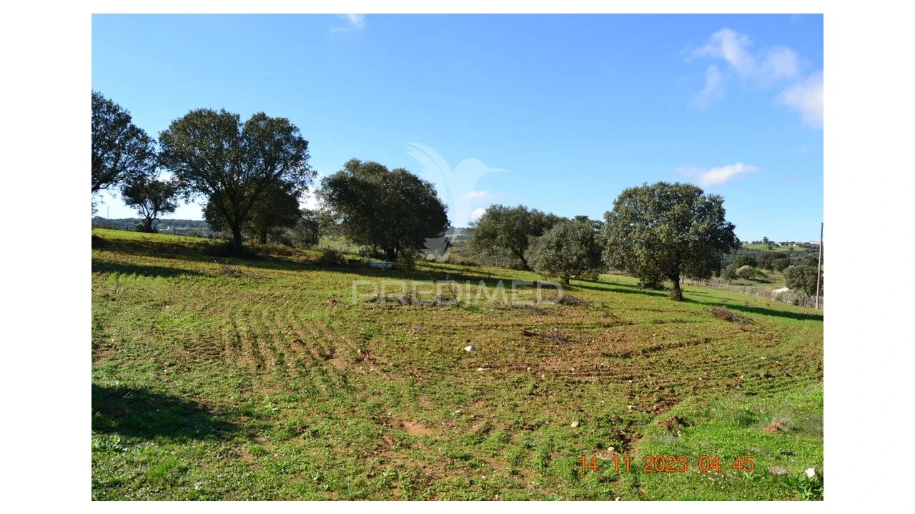 Quinta T4 para Venda em Pardais Foto 4