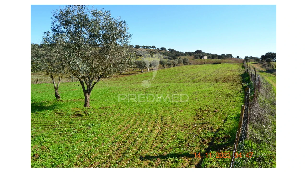 Quinta T4 para Venda em Pardais Foto 8