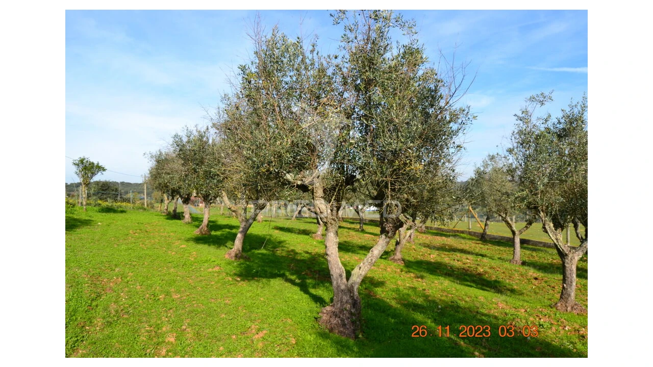 Quinta T4 para Venda em Pardais Foto 15