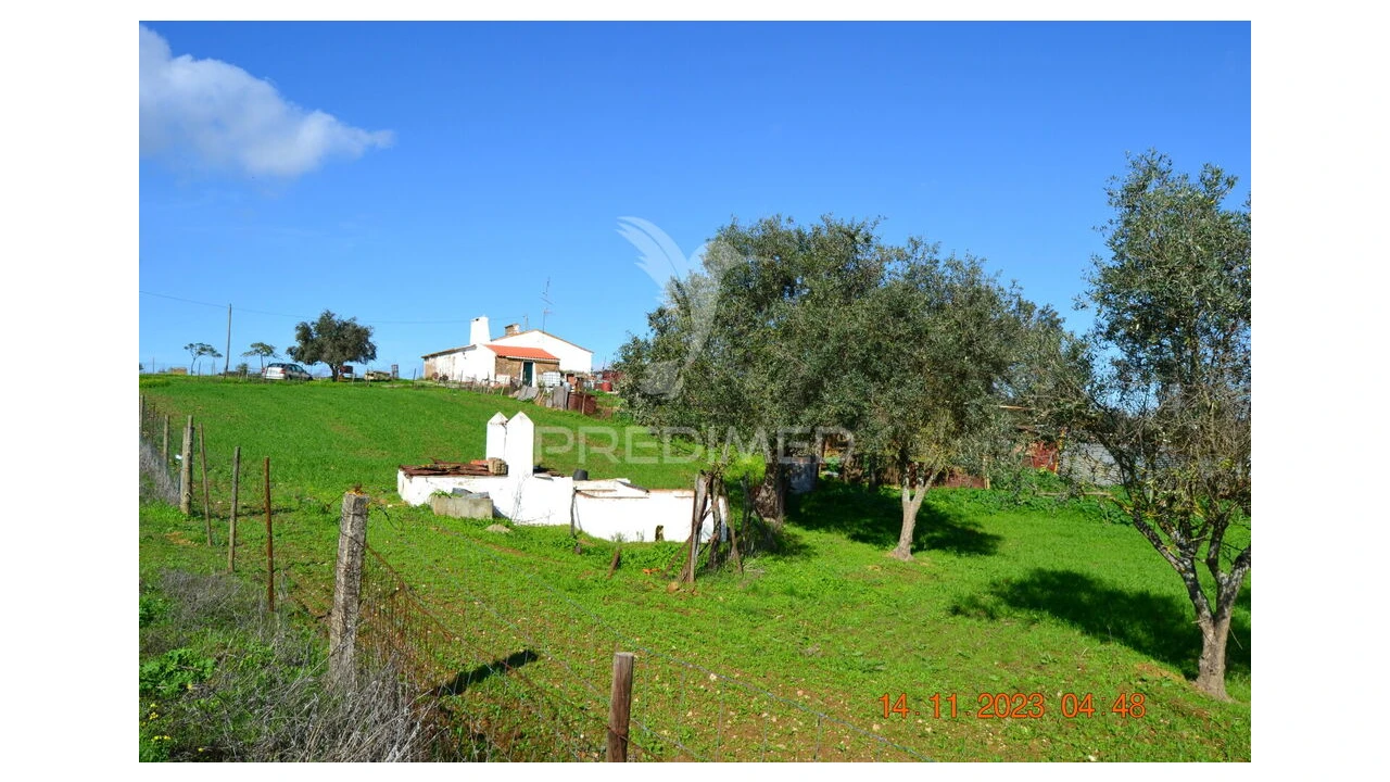 Quinta T4 para Venda em Pardais Foto 9