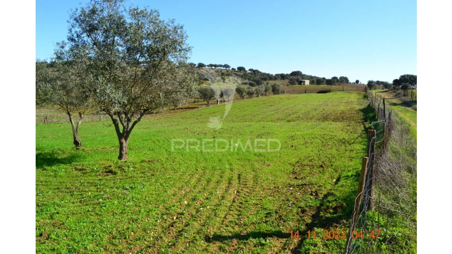 Quinta T4 para Venda em Pardais Foto 8