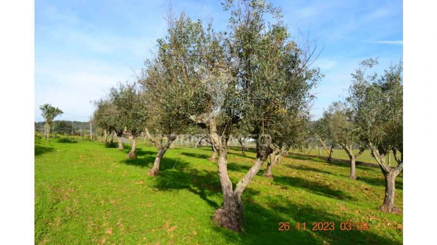 Quinta T4 para Venda em Pardais Foto 15