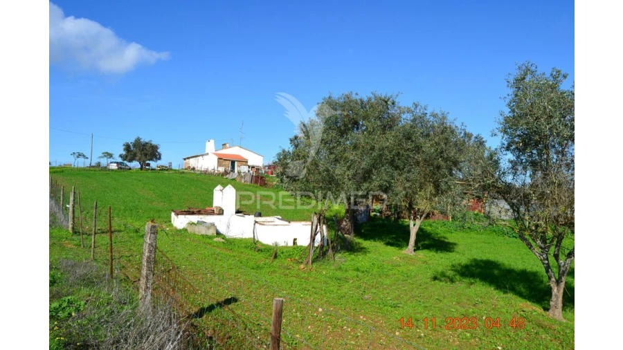 Quinta T4 para Venda em Pardais Foto 9